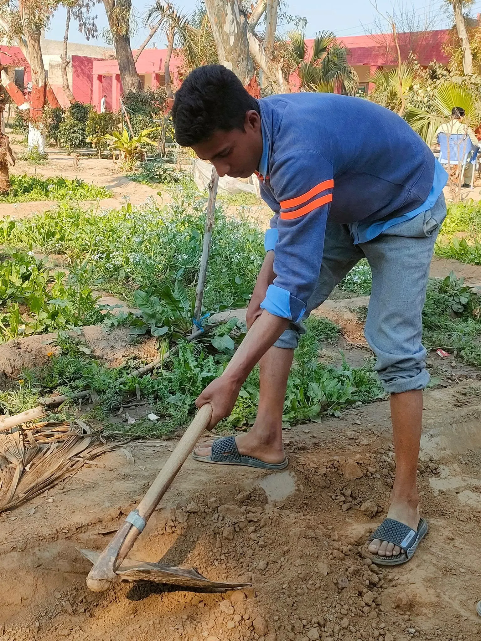 Green Seekers Activity